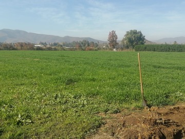 Terreno Agricola en venta en Cancha Union Chilena, Curacaví