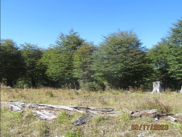Terreno Agricola en venta en Lago castor, Coyhaique