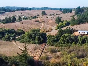 Terreno en venta en Gran Parcela con Casa en Rere Yumbel (163207), Yumbel