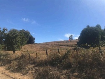 Terreno Agricola en venta en Pumalal temuco, Lautaro