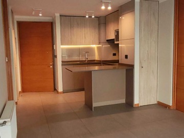 Departamento en arriendo mensual en Maravilloso dpto providencia ii (177368), Providencia - 2 dormitorios, 2 baños