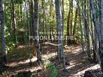 Terreno en venta en Parcela a minutos del lago Caburgua (171363), Pucón