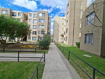 Departamento en venta en Sofía Carmona N°181 Dp 120-E, La Granja - 3 dormitorios, 1 baño