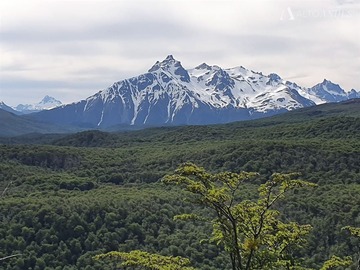 Venta / Sitio / Coyhaique