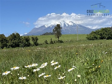 Parcela en venta en km 20 ruta 225, con borde de Río Pescado, vista volcanes, pradera y bosque, con acceso al Lago., Puerto Varas