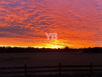 Venta / Parcela / Villarrica