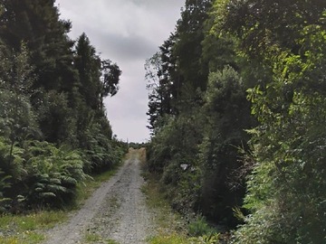 Terreno Agricola en venta en El quilar, Ancud