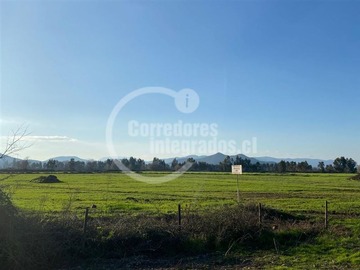 Venta / Terreno / Teno