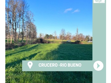 Venta / Parcela / Río Bueno