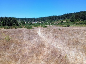 Terreno en venta en Rincon Munoces, Pelarco