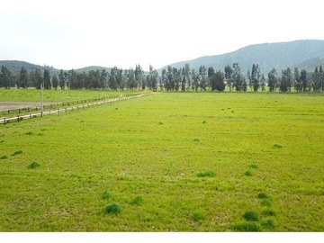 Terreno Agricola en venta en Hermoso Campo de 48 Hectareas Planas con Derechos de Agua