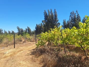 Parcela en venta en Ruta G-802, Santo Domingo, Valparaíso 2720000, Chile, Santo Domingo