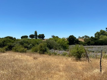 Terreno en venta en Escuela rural el Ciénago, Parral