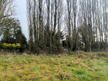 Terreno en venta en 5.700 m² en sector consolidado Osorno (153364), Osorno