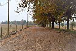 Terreno en venta en Hermosas parcelas,la esperanza,sta.Rita (173572), Pirque