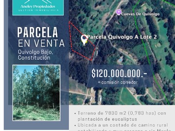 Terreno en venta en Quivolgo Bajo, Constitución