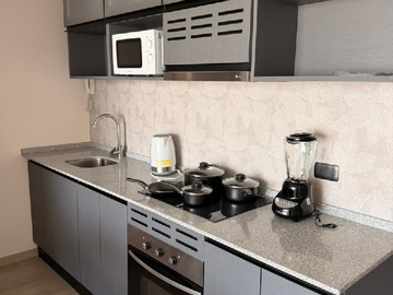 Arriendo Mensual / Departamento / La Cisterna