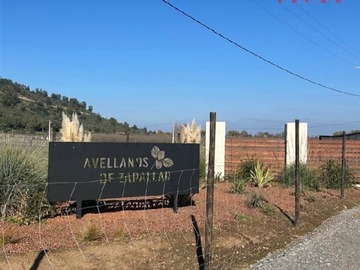Parcela en venta en Condominio Avellanos de Zapallar, Curicó