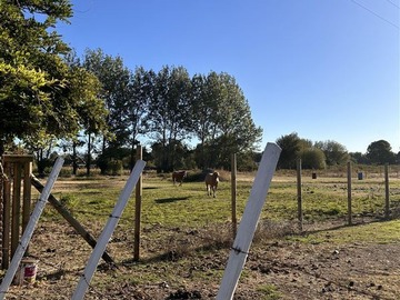 Parcela en venta en Colonia Bernardo O’higgins, Chillán