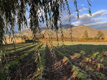 Sitio en venta en Camino Chada Sector La turbina, Paine