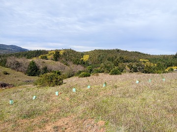 Parcela en venta en Terreno Media Hectárea a 45 Minutos de Concepción