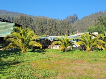 Casa en venta en Hermoso Terreno con 2 Casas en Chivilingo, Lota - 5 dormitorios, 3 baños