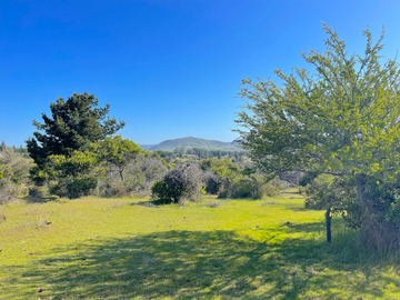 Venta / Parcela / San Javier de Loncomilla