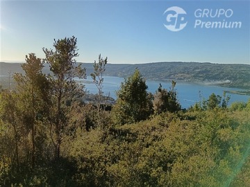 Parcela en venta en Sector rural compu - quellon, Quellón