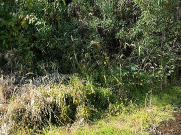 Parcela en venta en Cumbres de Frutillar, Frutillar