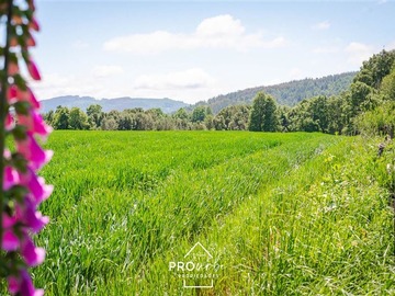 Parcela en venta en Venta Parcelas en Condominio Lomas del Trebol, acceso Ruta 5S, 5.000 m2, Paillaco, Valdivia, Paillaco
