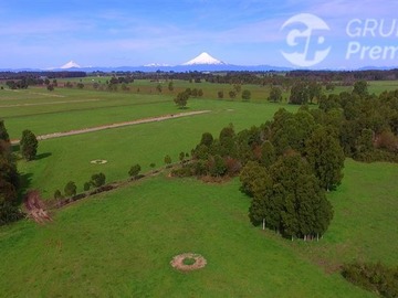 Parcela en venta en A minutos del Lago Llanquihue, Puerto Octay, Puerto Octay