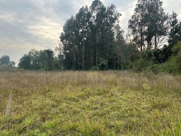 Parcela en venta en Maule sur, Colbún - 2 dormitorios, 1 baño