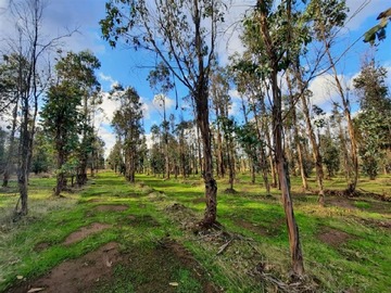 Parcela en venta en Cauquenes Pie cero, Cauquenes