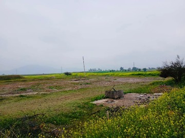 Terreno Agricola en venta en Venta Agrícola 20.000 M2 - Lampa
