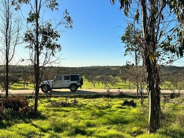 Parcela en venta en Mallermo, Marchigüe