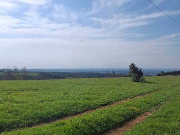 Terreno Agricola en venta en Campo 15 Hectareas Rios Negro Sector Parrones (171757), Río Negro