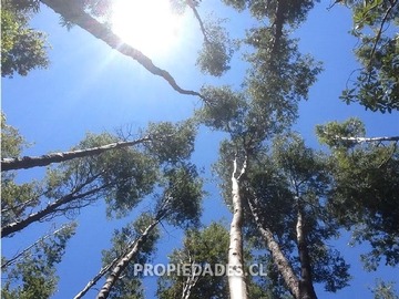 Sitio en venta en La Puntilla de San Juan, Coihueco