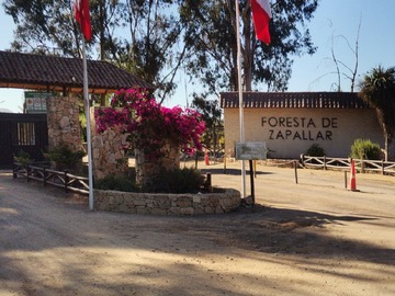 Parcela en venta en La foresta de zapallar, Zapallar - 4 dormitorios, 2 baños