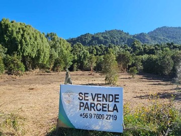 Terreno en venta en Espectacular parcela orilla Ruta 225, ensenad (94590), Puerto Varas