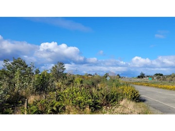 Venta / Terreno Agricola / Ancud
