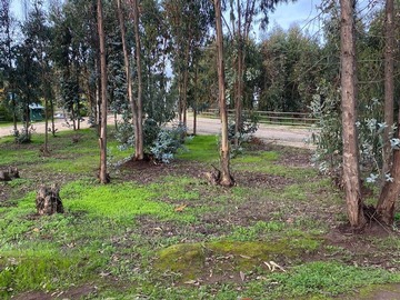 Sitio en venta en Ruta f 30 - e alt 12200 mantagua, Quintero