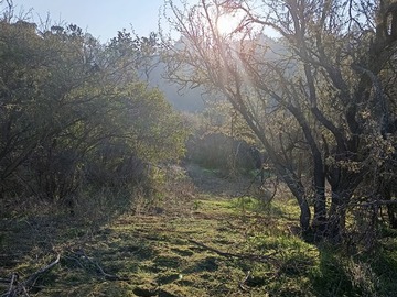 Parcela en venta en Cuesta Zapata, Curacaví