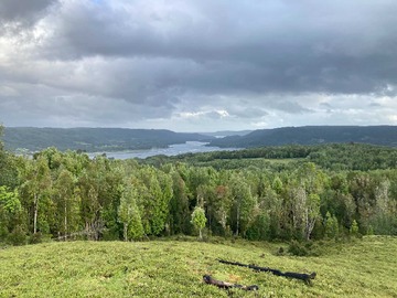 Terreno en venta en Apeche Bajo, Cerca Queilen, 2,8 Ha (121069), Queilén