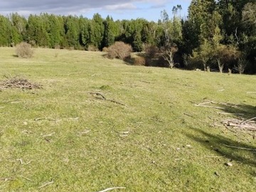 Terreno Agricola en venta en Sector el Mañio, Fresia, Puerto Montt