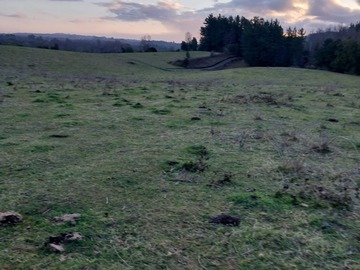 Terreno Agricola en venta en Avenida Huichahue, Temuco