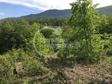 Parcela en venta en Monte Grande, Curicó