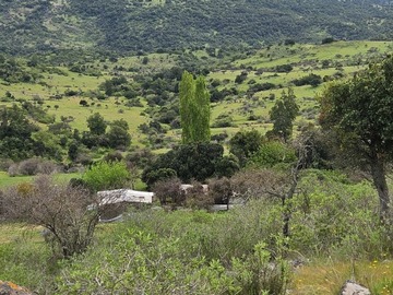 Parcela en venta en Parcelación palmas de santa cruz chépica, Chépica
