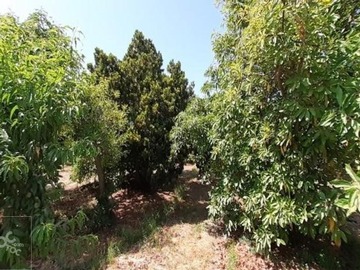 Venta / Parcela / Quillota