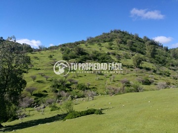 Parcela en venta en Sector el parrón, cerro el quillay, ruta j-680, Rauco