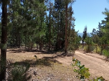 Parcela en venta en san jose de cahuil, Pichilemu